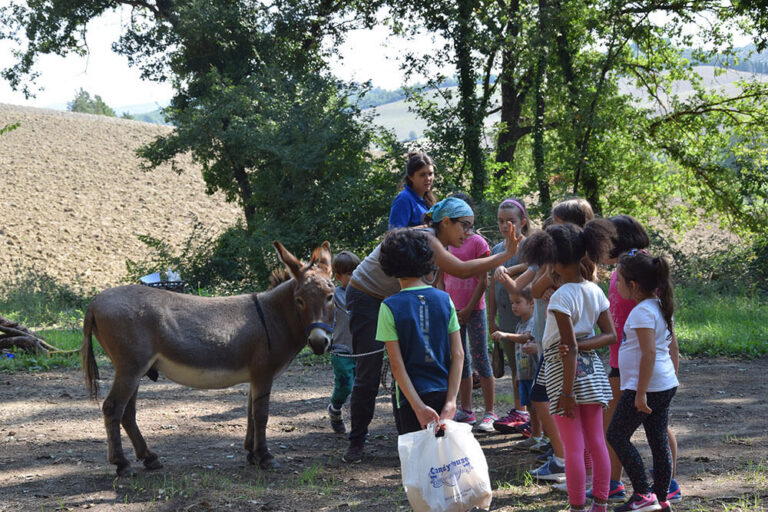 Bambini spazzolano un asino durante un'attività assistita alla Biofattoria L'Upupa
